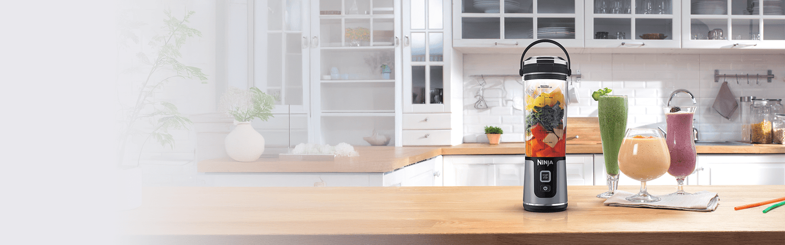 Ninja Hand Blenders